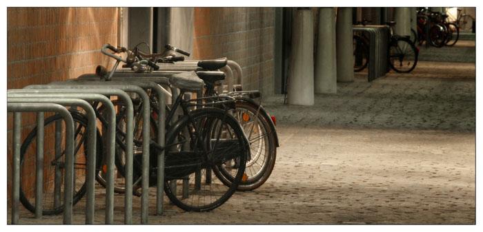 radl-farbe-neu Kopie_galerie.jpg